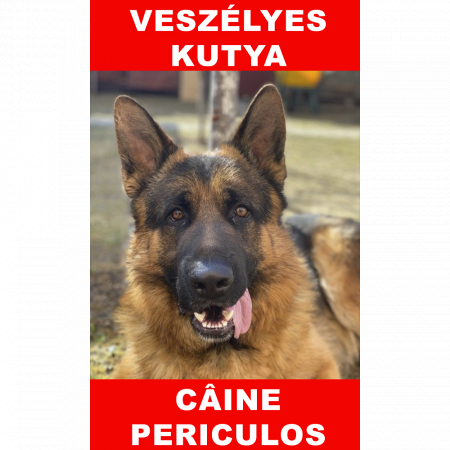 Animale de companie - Indicator caine periculos C German Bilingva