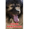 Animale de companie - Indicator câine periculos Ciobănesc Caucazian