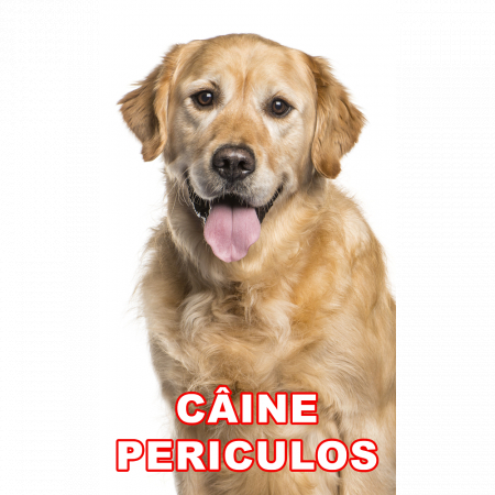 Animale de companie - Indicator caine periculos Golden Retriever