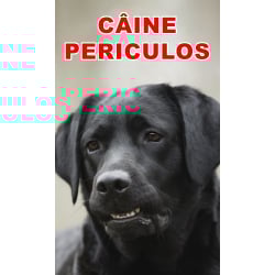 Animale de companie - Indicator caine periculos Retriever Negru