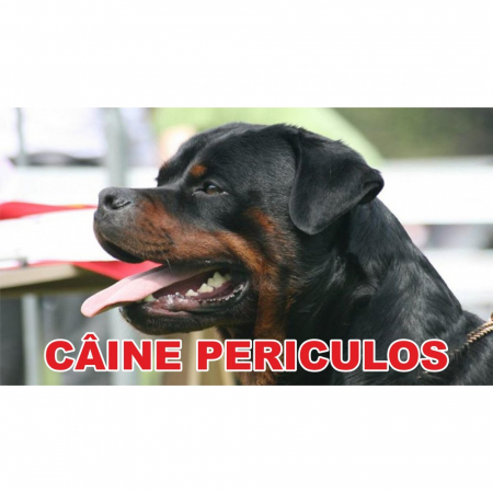 Animale de companie - Indicator caine periculos Rottweiler