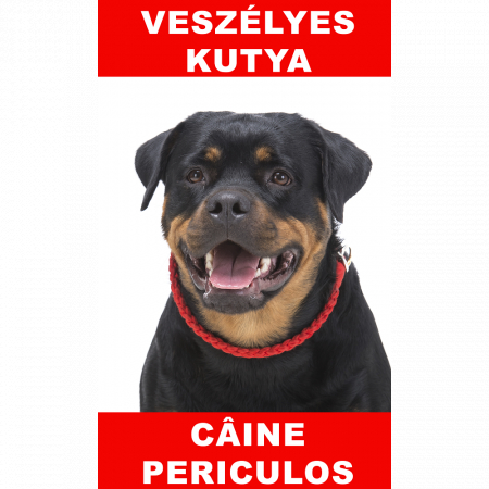 Accesorii - Indicator caine periculos Rottweiler Bilingva