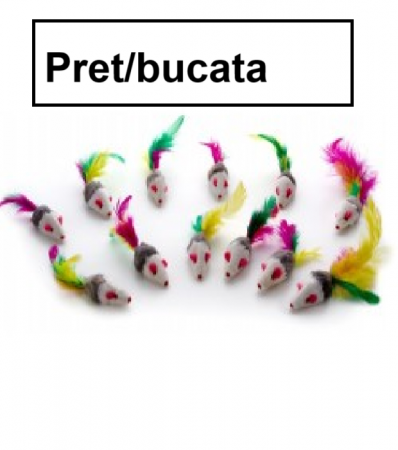Accesorii - Jucarie soricel pt pisica