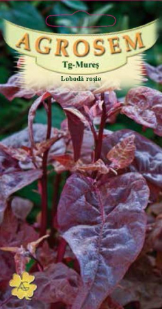 Plante Aromatice - Loboda rosie 0.3gr