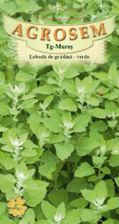 Plante Aromatice - Loboda verde de gradina 0.3gr