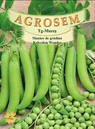 Legume - Mazare Kelvedon Wonder 20gr