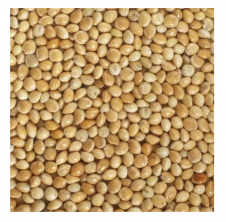 Mei galben (hrana) pentru pasari de colivie Yellow Millet 25kg [1]