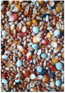 Hrană (furaje) - Mix seminte baza 20kg