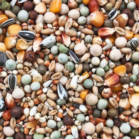 Mix seminte reproductie 20kg [1]