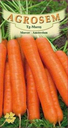 Legume - Morcov Amsterdam 5gr