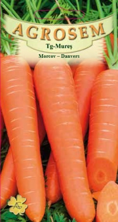 Legume - Morcov Danvers 4gr