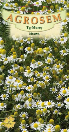 Plante Aromatice - Musetel 0.3gr