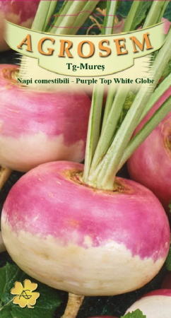 Legume - Napi comestibili Purple Top White Globe 3gr