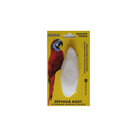 Papagali - Os sepie cca 12cm