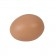 Ouă de plastic pentru găini [1]