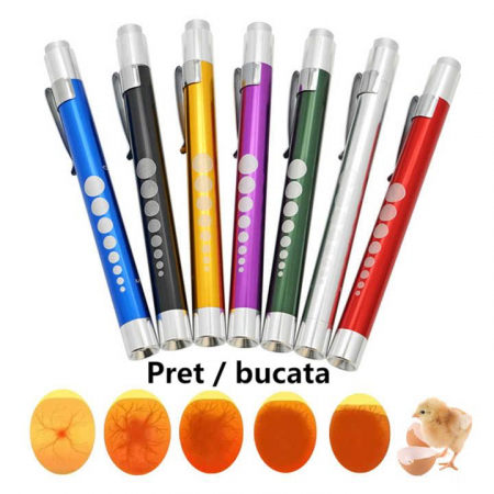 Accesorii - Ovoscop