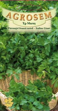 Plante Aromatice - Patrunjel frunze neted italian 4 gr