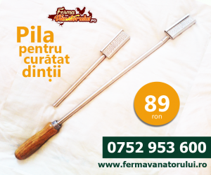 Accesorii veterinare - Pilă pentru curăţat dinţi