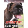 Animale de companie - Placuta caine rau boxer, MARO/NEGRU