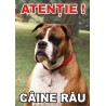 Animale de companie - Placuta caine rau boxer