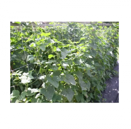 Plasa suport plante Horti-Plant alba, 15x15 cm 1.5 x 10m [2]