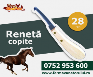 Curatare copite - Renetă simplă pentru curaţat copite