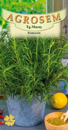 Plante Aromatice - Rozmarin 0.05gr
