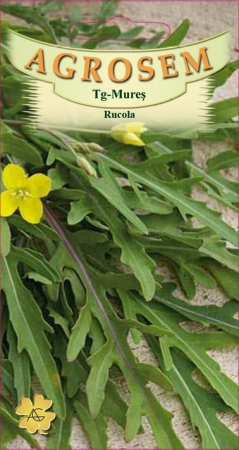 Plante Aromatice - Rucola 3gr