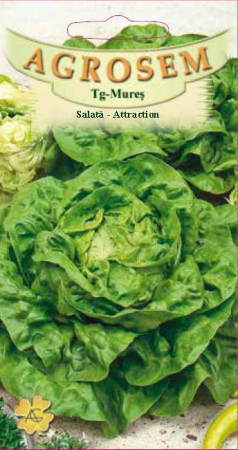 Legume - Salata Attraction 2.5gr