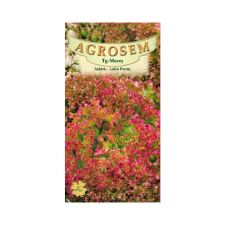 Legume - Salata Lollo Rossa 1gr