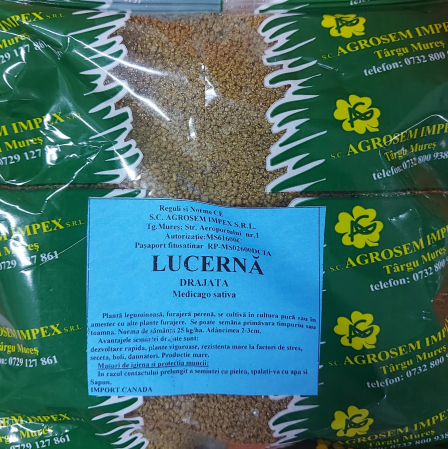 Plante furajere - Samanta lucerna drajata Algonquin 1kg