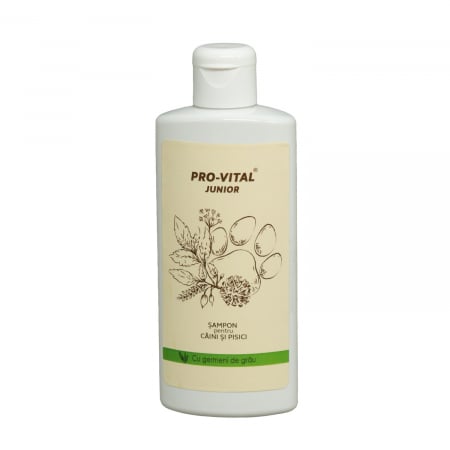 Accesorii - Sampon Provital Junior cu germeni grau 200ml