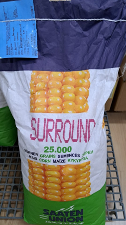 Seminte Porumb hibrid Suround FAO 300 25000k [3]