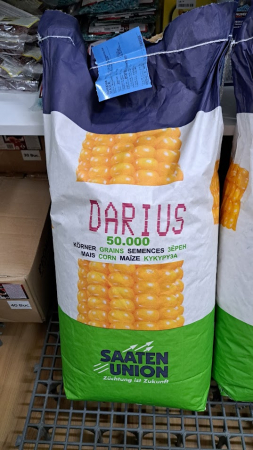 Seminte Porumb hibrid Darius FAO 390 50000k [3]