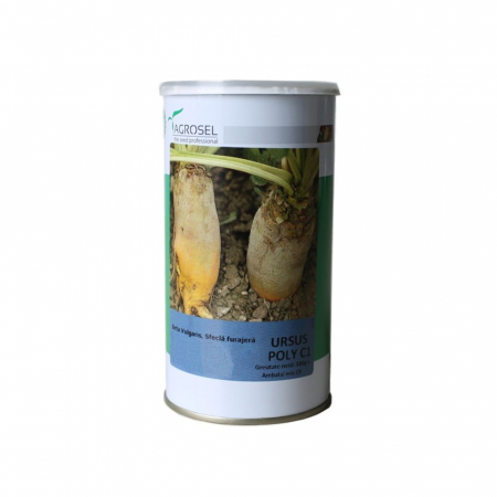 Plante furajere - Seminte Sfecla furajera Ursus Poly 100g