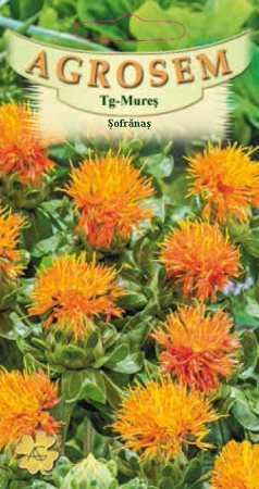 Plante Aromatice - Sofranas 1gr