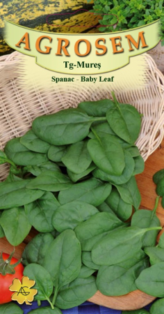 Legume - Spanac baby leaf 8gr