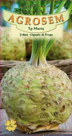 Legume - Telina radacina Gigante di Praga 1.5gr