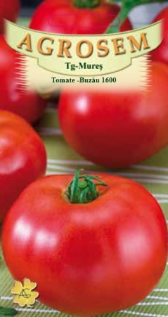 Legume - Tomate Buzau 1600 0.2gr