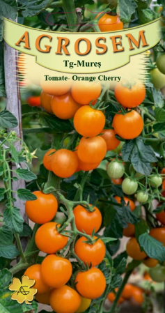 Fructe - Tomate Orange Cherry 0.2gr