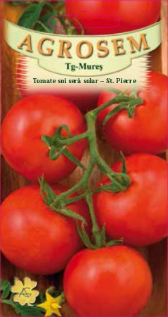 Legume - Tomate sera sol St. Pierre 0,4gr