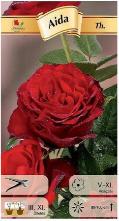 Flori - Trandafir teahibrid Aida