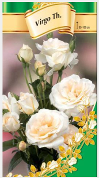 Trandafir teahibrid Virgo [0]