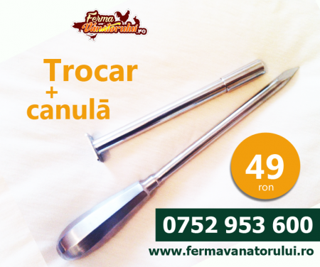 Accesorii - Trocar şi canulă