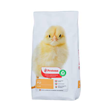 Hrana (furaje) - PROTENA Concentrat Profesional Pui Crestere 24% 10KG