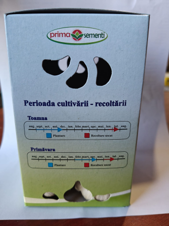 USTUROI BULBI 5 BUC/CUTIE [1]