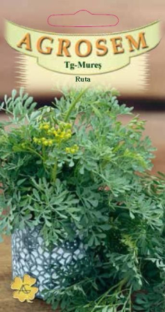 Plante Aromatice - Ruta 0.2gr