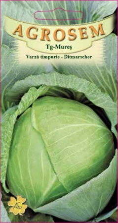 Legume - Varza timpurie Ditmarscher 3gr