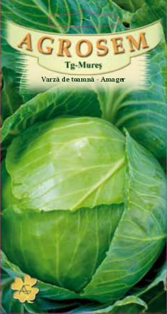 Legume - Varza toamna Amager Dauer 3gr