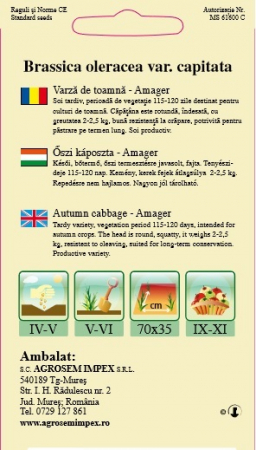 Varza toamna Amager Dauer 3gr [1]